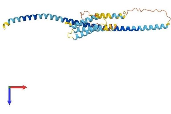 UBE2Z Protein (AA 1-259) (His tag)