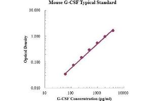 ELISA image for Colony Stimulating Factor 3 (Granulocyte) (CSF3) ELISA Kit (ABIN3198533)
