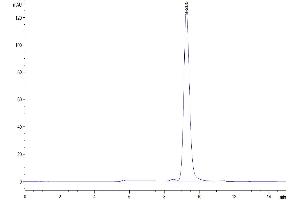 The purity of Human PRLR is greater than 95 % as determined by SEC-HPLC.