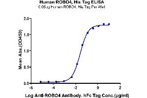 ELISA image for Roundabout, Axon Guidance Receptor, Homolog 4 (ROBO4) (AA 27-469) protein (His tag) (ABIN7275523)