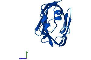 AlphaFold protein structure predicition of Mouse Recombinant Rbp7 Protein, UniprotID Q9EPC5