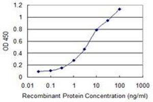 Detection limit for recombinant GST tagged CREBBP is 0. (CBP Antikörper  (AA 951-1050))