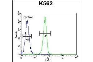 PLEKHA4 Antibody (N-term) (ABIN655718 and ABIN2845168) flow cytometric analysis of K562 cells (right histogram) compared to a negative control cell (left histogram). (PLEKHA4 Antikörper  (N-Term))