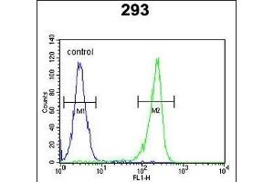 UNC50 Antibody (N-term) (ABIN6244031 and ABIN6578966) flow cytometric analysis of 293 cells (right histogram) compared to a negative control cell (left histogram). (UNC50 Antikörper  (N-Term))
