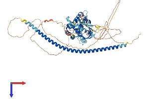 ARHGAP22 Protein (AA 1-702) (His tag)