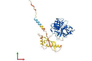 Protein Structure (PS) image for Transmembrane Protease, Serine 11A (TMPRSS11A) (AA 1-389) protein (His tag) (ABIN7557255)