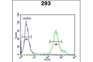 REG3A Antibody (N-term) (ABIN653158 and ABIN2842726) flow cytometric analysis of 293 cells (right histogram) compared to a negative control cell (left histogram).