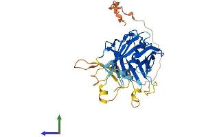Protein Structure (PS) image for Phospholipid Scramblase 2 (PLSCR2) (AA 1-307) protein (His tag) (ABIN7561361)