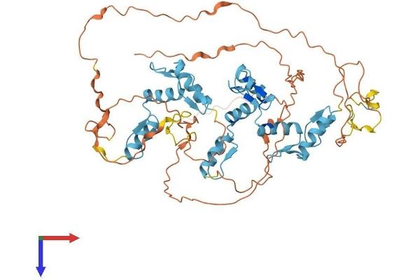 ZNF513 Protein (AA 1-541) (His tag)