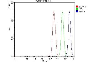 Flow Cytometry analysis of 293T cells using anti-heavy chain Myosin/MYH3 antibody (ABIN7601736).