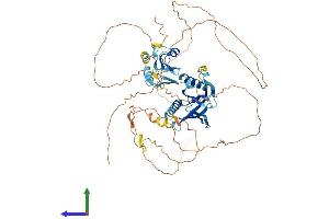 Protein Structure (PS) image for SHC (Src Homology 2 Domain Containing) Family, Member 4 (SHC4) (AA 1-630) protein (His tag) (ABIN7545980)