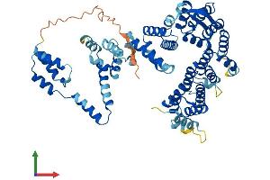 Protein Structure (PS) image for TH1-Like (TH1L) (AA 1-590) protein (His tag) (ABIN7549714)