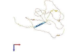 LAX1 Protein (AA 1-407) (His tag)