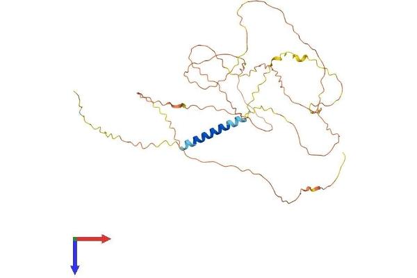 LAX1 Protein (AA 1-407) (His tag)