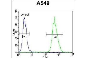 NIX Antibody (Center) (ABIN655731 and ABIN2845178) flow cytometric analysis of A549 cells (right histogram) compared to a negative control cell (left histogram). (BNIP3L/NIX Antikörper  (AA 52-81))