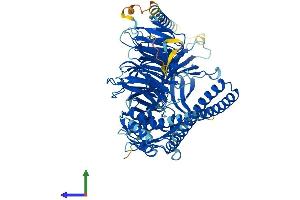 AlphaFold protein structure predicition of Human Recombinant BBS2 Protein, UniprotID Q9BXC9