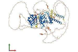 Protein Structure (PS) image for Neuronal PAS Domain Protein 4 (NPAS4) (AA 1-802) protein (His tag) (ABIN7564338)