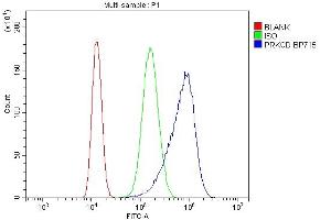 Flow Cytometry analysis of CACO-2 cells using anti-PRKCD antibody (ABIN7601631). (PKC delta Antikörper  (AA 4-676))