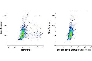Flow cytometry surface staining patterns of HeLa cells stained using anti-TNAP (W8B2B10) PE antibody (concentration in sample 1. (TRAFs and NIK-Associated Protein (TNAP) Antikörper (PE))