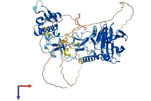 ASH2L Protein (AA 1-628) (His tag)