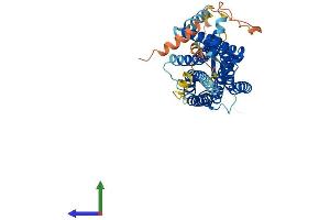 Protein Structure (PS) image for Hypocretin (Orexin) Receptor 1 (HCRTR1) (AA 1-425) protein (His tag) (ABIN7550479)