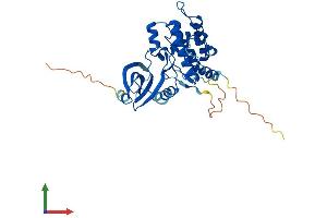 AlphaFold protein structure predicition of Mouse Recombinant Tssk4 Protein, UniprotID Q9D411