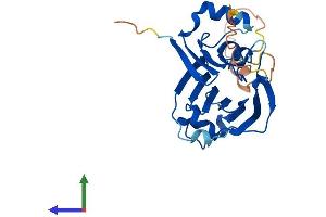 Protein Structure (PS) image for TIP41-like protein (TIPRL) (AA 1-271) protein (His tag) (ABIN7558610)