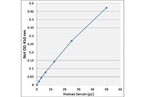 Biochemical Assay (BCA) image for Branched Chain Amino Acid Assay Kit (ABIN5067587)