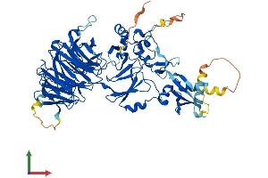 Protein Structure (PS) image for WD Repeat Domain 48 (WDR48) (AA 1-677) protein (His tag) (ABIN7556019)