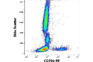 Flow cytometry surface staining pattern of human peripheral whole blood stained using anti-human CD79b (CB3-1) PE antibody (10 μL reagent / 100 μL of peripheral whole blood).