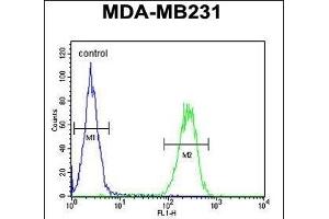 PRSS3 Antibody (N-term) (ABIN654446 and ABIN2844180) flow cytometric analysis of MDA-M cells (right histogram) compared to a negative control cell (left histogram). (PRSS3 Antikörper  (N-Term))