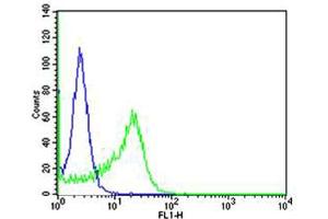 Flow cytometric analysis of Ramos cells using IL4R Antibody (green) compared to an isotype control of rabbit IgG(blue). (IL-4 Antikörper  (C-Term))