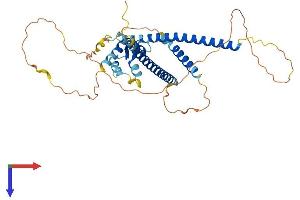 Suppressor APC Domain Containing 2 (SAPCD2) (AA 1-394) protein (His tag)