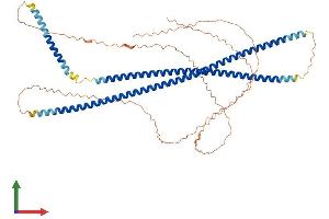 Protein Structure (PS) image for Keratin 10 (KRT10) (AA 1-584) protein (His tag) (ABIN7548722)