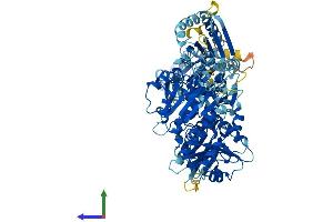 Protein Structure (PS) image for Schlafen Family Member 5 (SLFN5) (AA 1-891) protein (His tag) (ABIN7546100)
