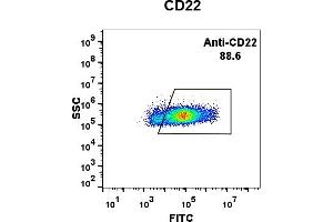 Expi 293 cell line transfected with irrelevant protein (left) and human CD22 (right) were surface stained with Rabbit anti- CD22 monoclonal antibody 1 μg/mL (clone: DM13) followed by Alexa 488-conjugated anti-rabbit IgG secondary antibody. (CD22 Antikörper  (AA 20-687))