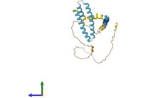 Protein Structure (PS) image for Receptor Accessory Protein 3 (REEP3) (AA 1-255) protein (His tag) (ABIN7551300)