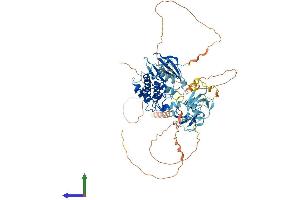 Protein Structure (PS) image for Doublecortin-Like Kinase 1 (DCLK1) (AA 1-740) protein (His tag) (ABIN7547063)