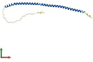 Protein Structure (PS) image for Pallidin Homolog (PLDN) (AA 1-172) protein (His tag) (ABIN7552670)