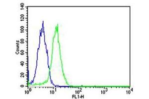 Flow cytometric analysis of Hela cells using SP1 Antibody (green, Cat(ABIN1944791 and ABIN2838536)) compared to an isotype control of mouse IgG1(blue). (SP1 Antikörper  (AA 1-250))