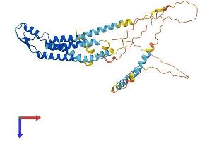 GJC1 Protein (AA 1-396) (His tag)