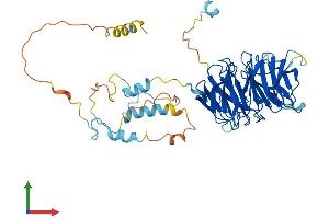 Protein Structure (PS) image for Fizzy/cell Division Cycle 20 Related 1 (FZR1) (AA 1-496) protein (His tag) (ABIN7553969)