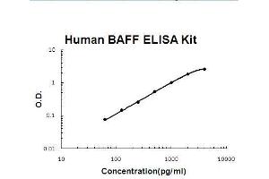 Human BAFF PicoKine ELISA Kit standard curve