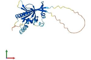 Protein Structure (PS) image for Autophagy Related 10 (ATG10) (AA 1-215) protein (His tag) (ABIN7559677)