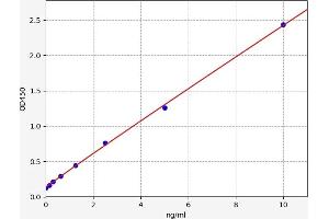 Typical standard curve