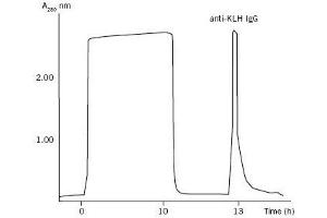 ELISA image for anti-Keyhole Limpet Hemocyanin (KLH) antibody (ABIN93503)