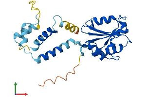 Protein Structure (PS) image for Phosducin (PDC) (AA 1-244) protein (His tag) (ABIN7561733)