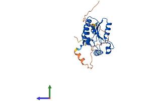 AlphaFold protein structure predicition of Human Recombinant N4BP2L1 Protein, UniprotID Q5TBK1