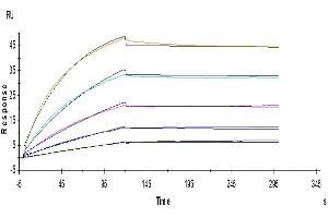 Surface Plasmon Resonance (SPR) image for Tumor Necrosis Factor Receptor Superfamily, Member 10a (TNFRSF10A) (AA 34-239) protein (His-Avi Tag) (ABIN7275777)