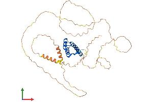 Protein Structure (PS) image for Homeobox A13 (HOXA13) (AA 1-388) protein (His tag) (ABIN7548357)